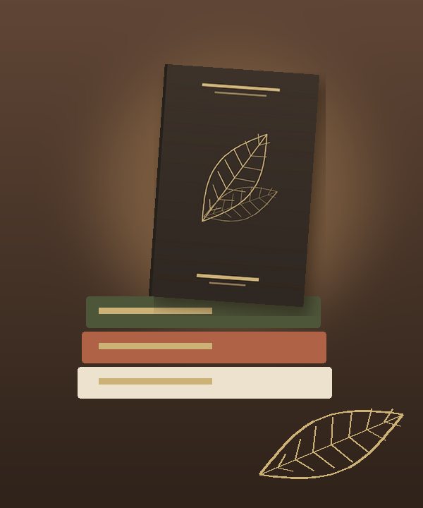 رفّ كتب في ضوءٍ دافئ